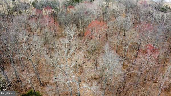 20.6 Acres of Recreational Land for Sale in Gerrardstown, West Virginia