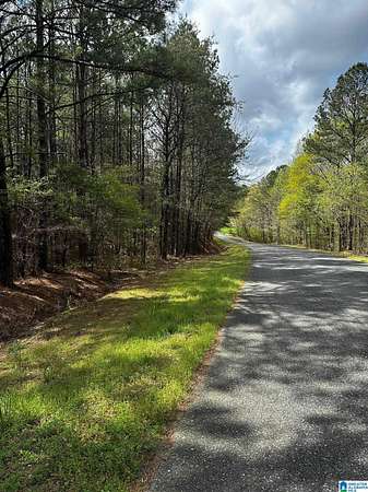 57 Acres of Land for Sale in Gardendale, Alabama