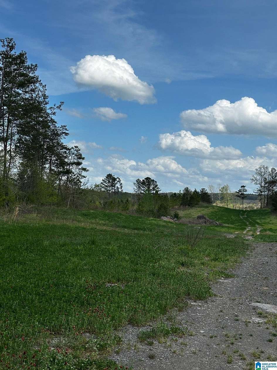 75 Acres of Land for Sale in Dora, Alabama