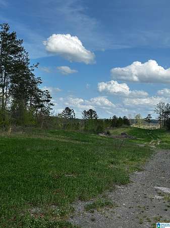 75 Acres of Land for Sale in Dora, Alabama