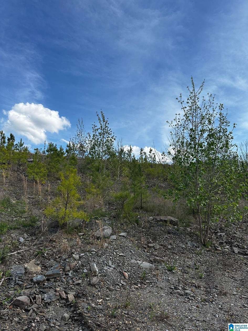 80 Acres of Land for Sale in Dora, Alabama