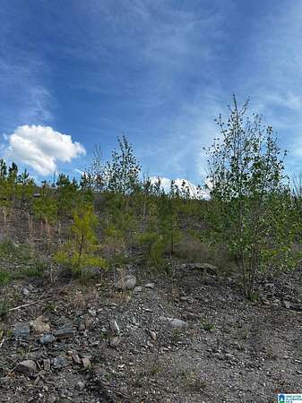 80 Acres of Land for Sale in Dora, Alabama
