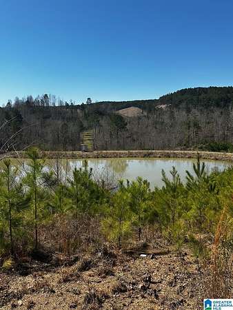 213 Acres of Recreational Land for Sale in Dora, Alabama
