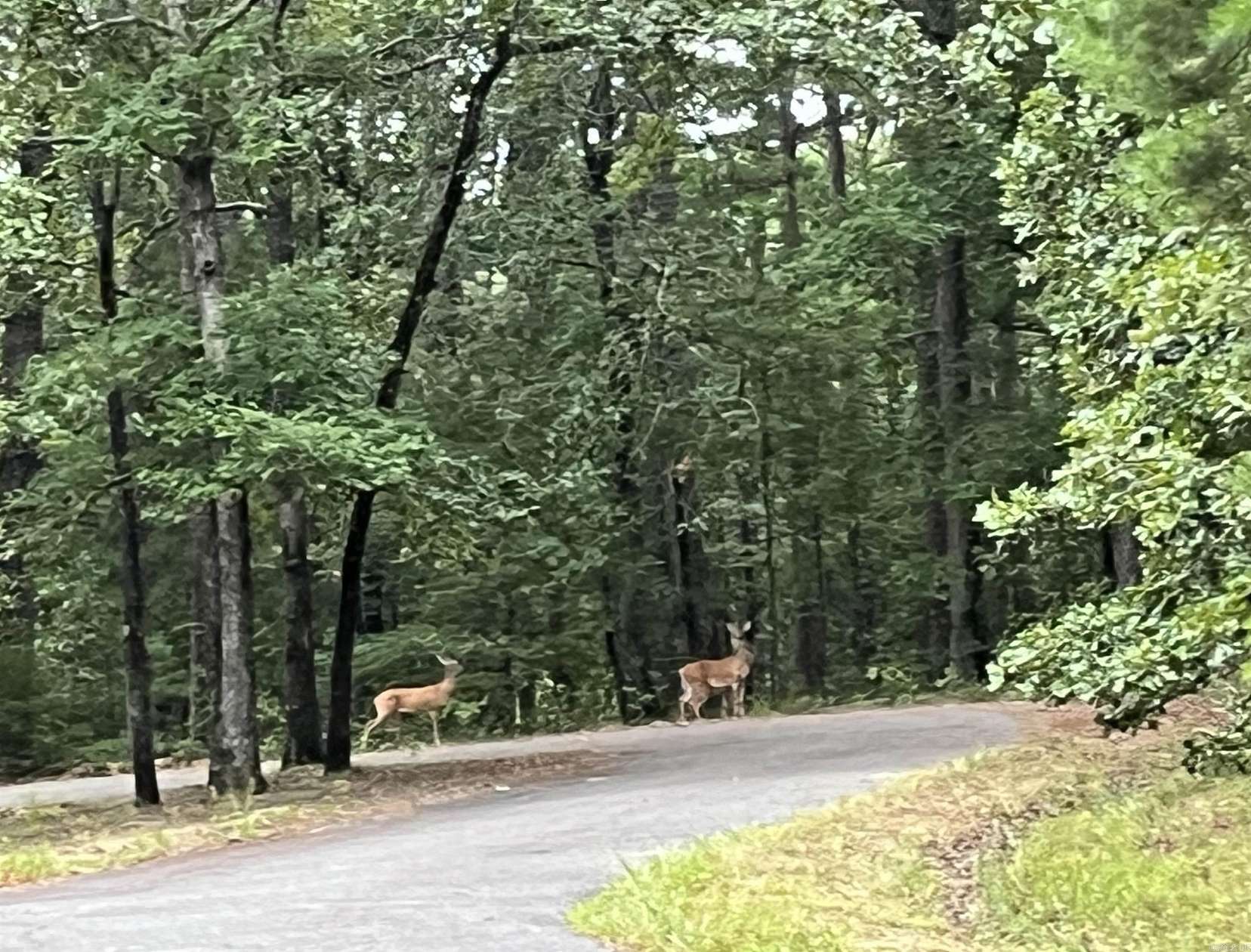 0.21 Acres of Residential Land for Sale in Hot Springs Village, Arkansas