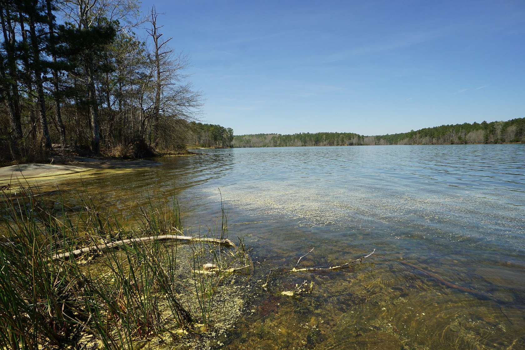 488 Acres of Recreational Land for Sale in Conyers, Georgia