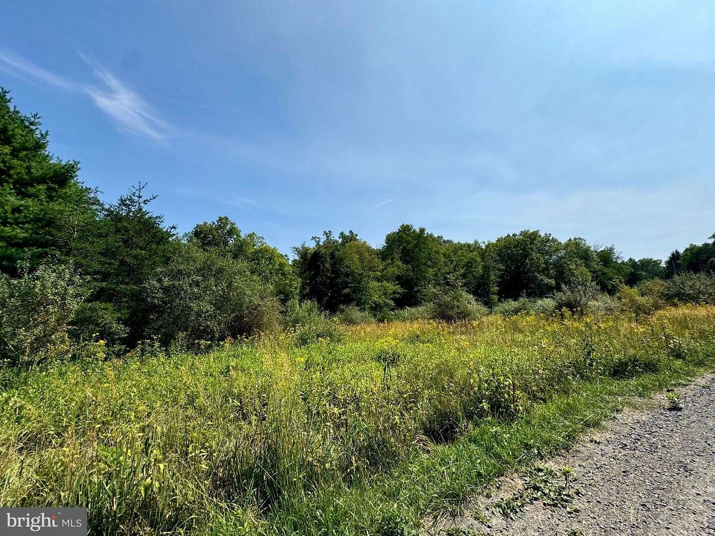 5.45 Acres of Agricultural Land for Sale in Wardensville, West Virginia