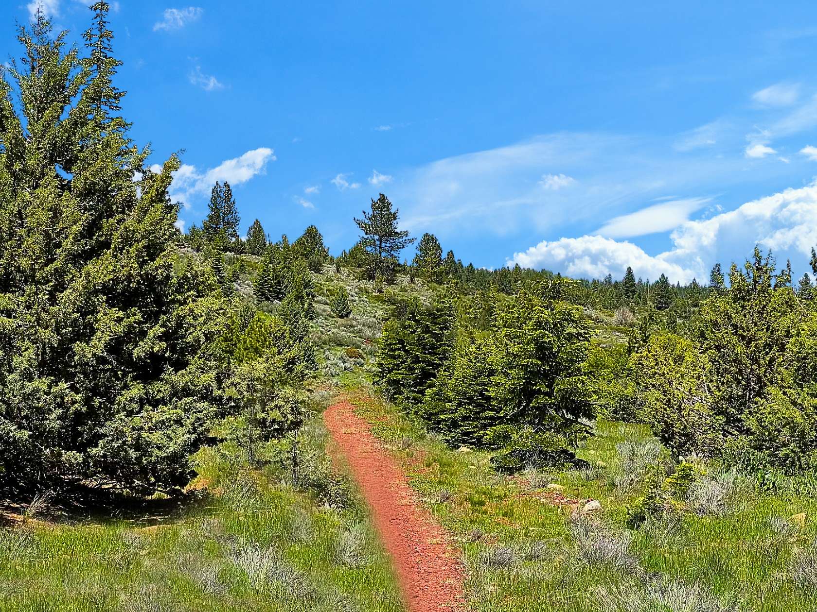 1.84 Acres of Residential Land for Sale in Alturas, California