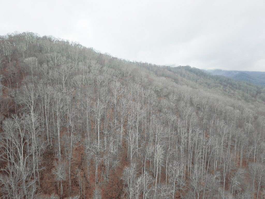 10.2 Acres of Recreational & Residential Land for Sale in Topton, North Carolina