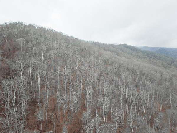 10.2 Acres of Recreational Land for Sale in Topton, North Carolina