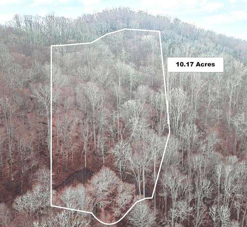 10.2 Acres of Recreational & Residential Land for Sale in Topton, North Carolina