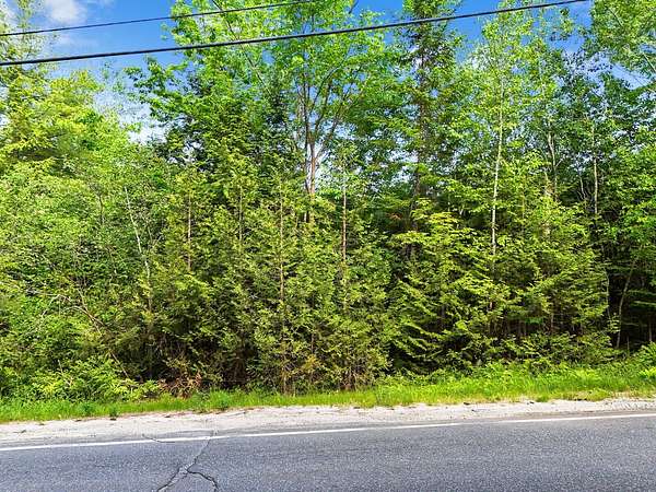 41.2 Acres of Land for Sale in Manchester, Maine