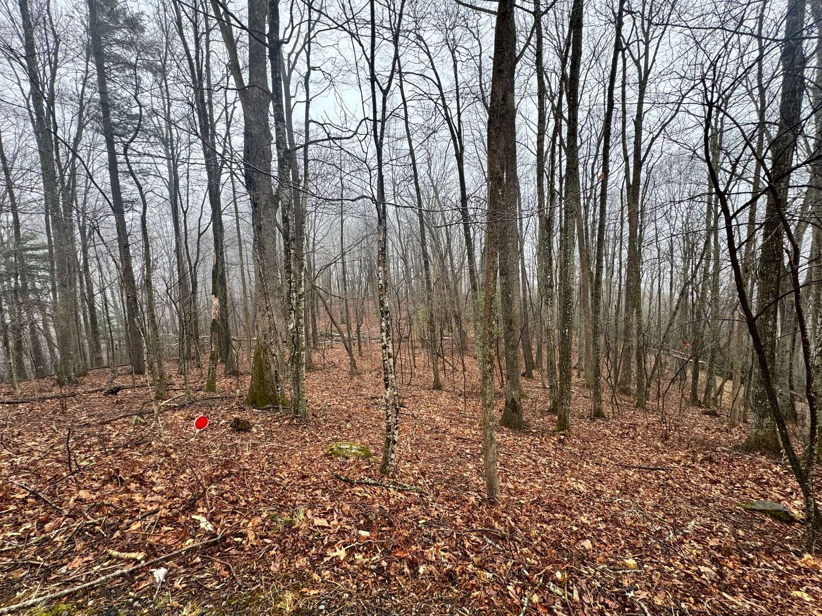 0.68 Acres of Residential Land for Sale in Newland, North Carolina