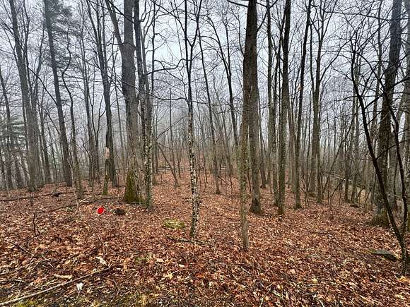 0.68 Acres of Residential Land for Sale in Newland, North Carolina