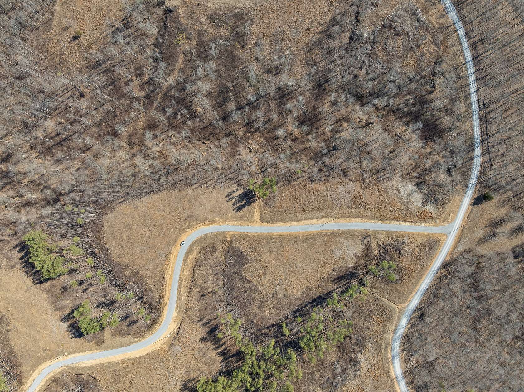 8.2 Acres of Residential Land for Sale in Dover, Tennessee