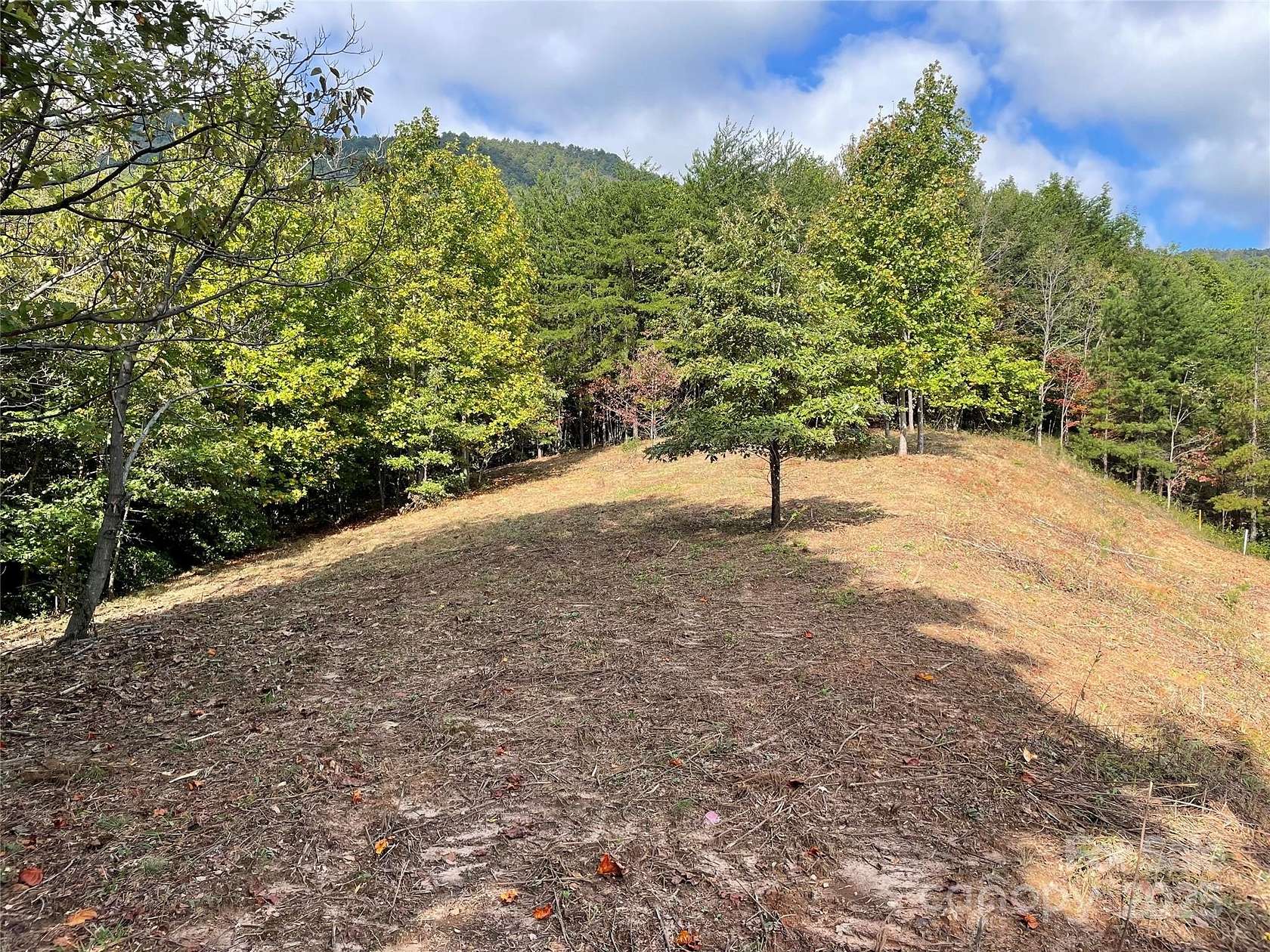 1.5 Acres of Residential Land with Home for Sale in Mill Spring, North Carolina