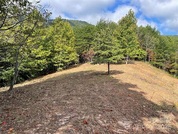 1.5 Acres of Residential Land with Home for Sale in Mill Spring, North Carolina