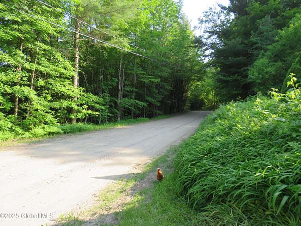 1.6 Acres of Residential Land with Home for Sale in Gloversville, New York
