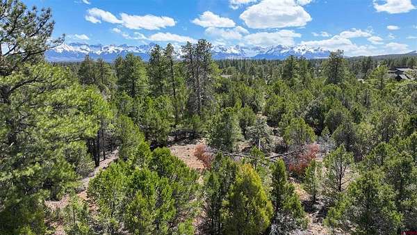 2 Acres of Residential Land for Sale in Ridgway, Colorado