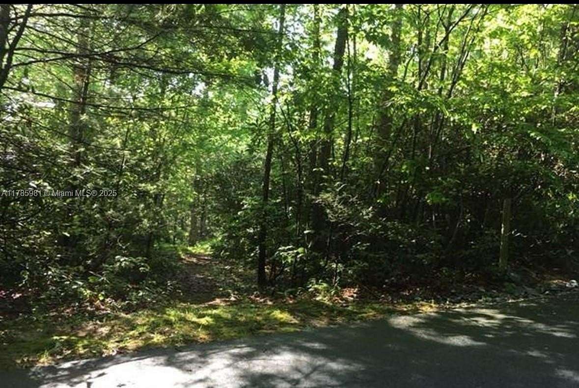 0.6 Acres of Residential Land for Sale in Cashiers Township, North Carolina