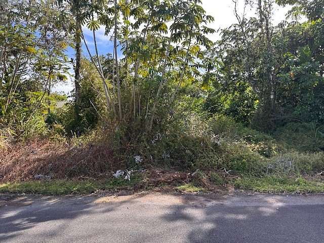 0.28 Acres of Residential Land for Sale in Pahoa, Hawaii
