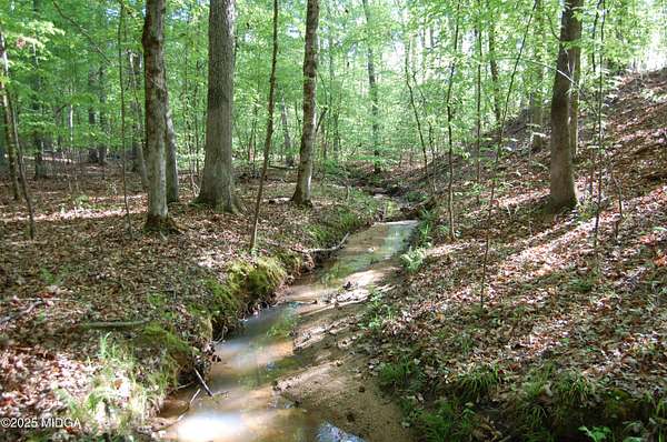 36.2 Acres of Land for Sale in Forsyth, Georgia