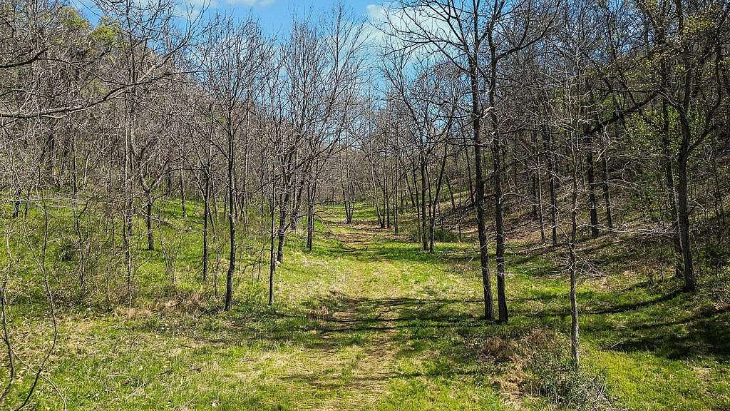 36 Acres of Land for Sale in Pineville, Missouri