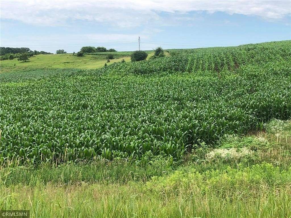 78.4 Acres of Land for Sale in Lake Elmo, Minnesota