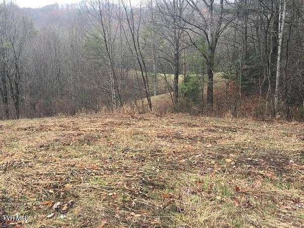 101 Acres of Recreational Land & Farm for Sale in Butler, Tennessee