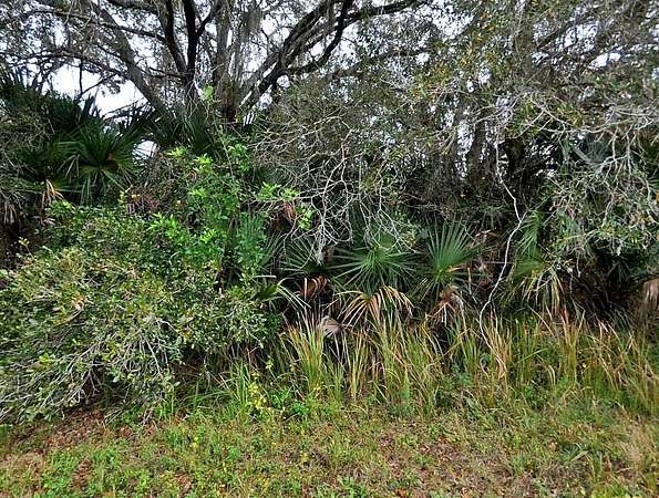 0.25 Acres of Residential Land for Sale in North Port, Florida