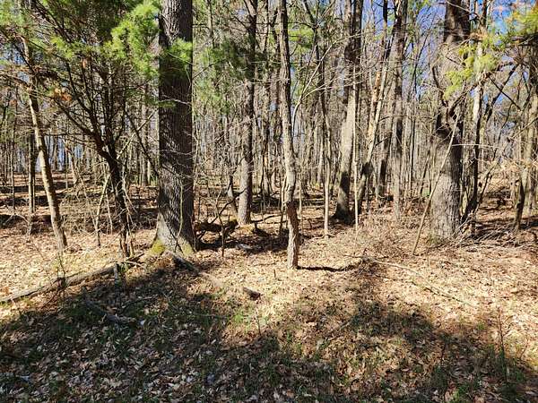 1 Acre of Land for Sale in Newaygo, Michigan