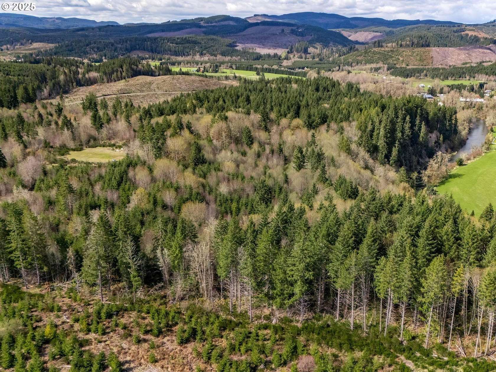 74.6 Acres of Recreational Land for Sale in Clatskanie, Oregon