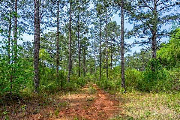 71.7 Acres of Recreational Land for Sale in West Point, Georgia