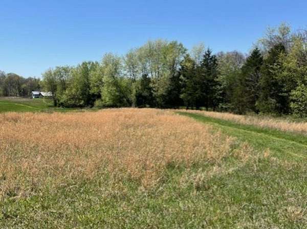 4.38 Acres of Land for Sale in Scottsville, Kentucky