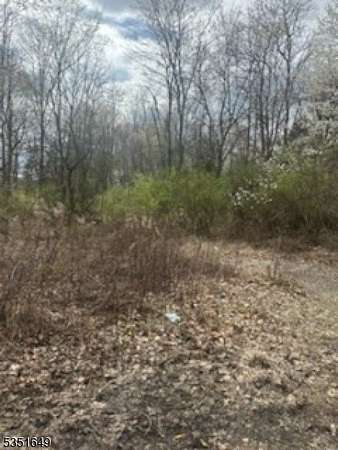0.69 Acres of Commercial Land for Sale in Long Hill Township, New Jersey