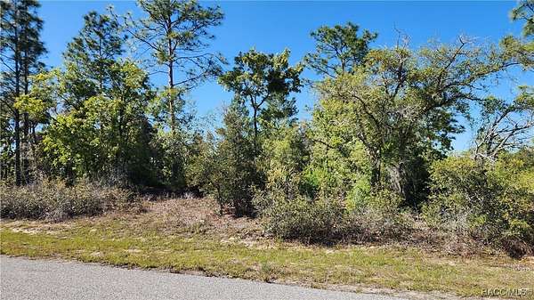 0.39 Acres of Residential Land for Sale in Dunnellon, Florida