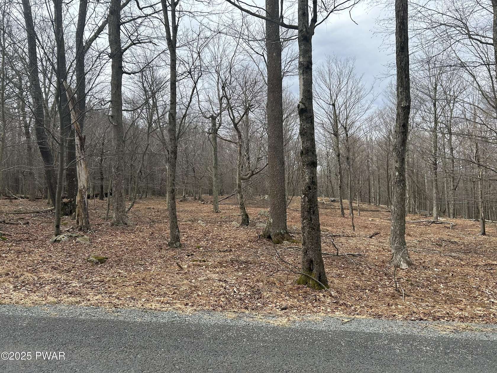 0.29 Acres of Residential Land for Sale in Newfoundland, Pennsylvania