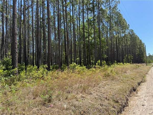 8.84 Acres of Residential Land for Sale in Waycross, Georgia