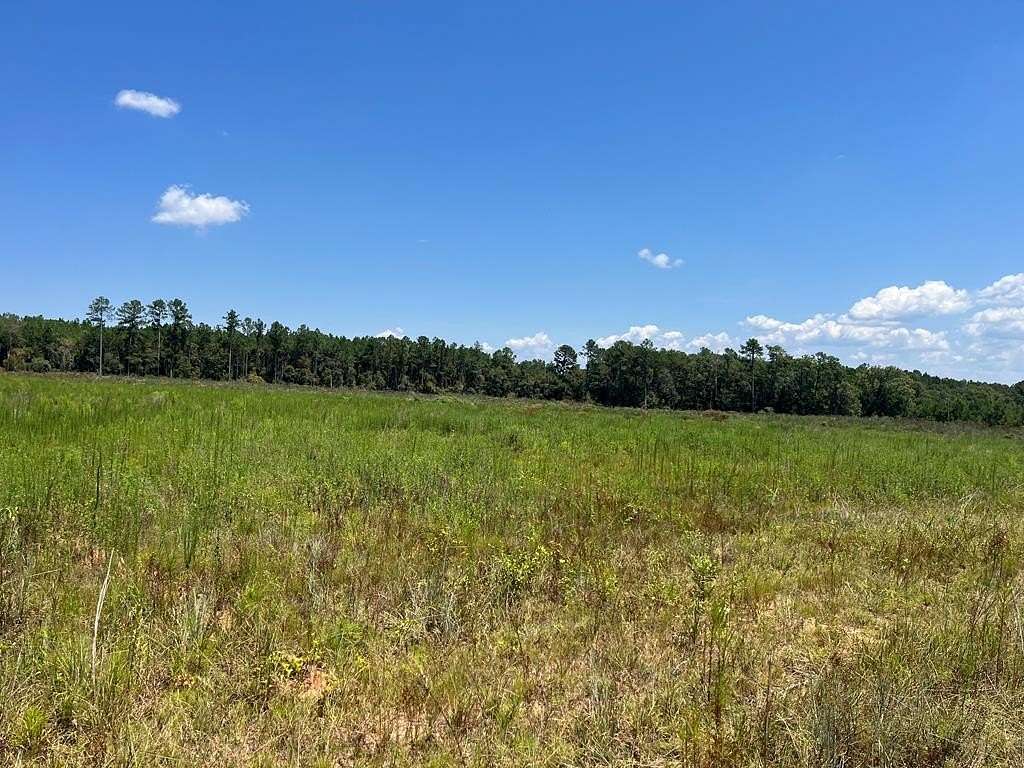 4.3 Acres of Residential Land for Sale in Columbia, Alabama