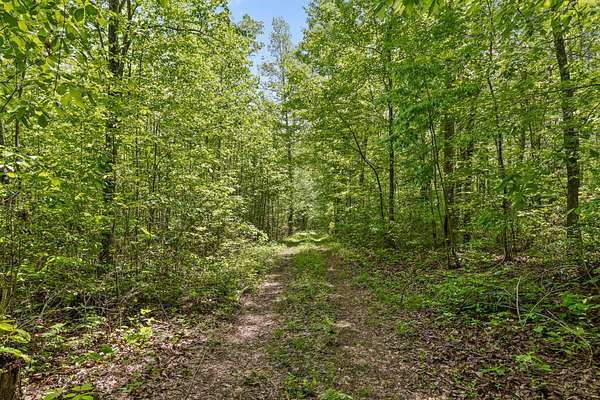 10 Acres of Agricultural Land for Sale in Graysville, Tennessee