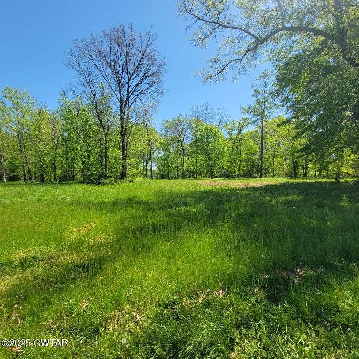 8.1 Acres of Land for Sale in Trenton, Tennessee