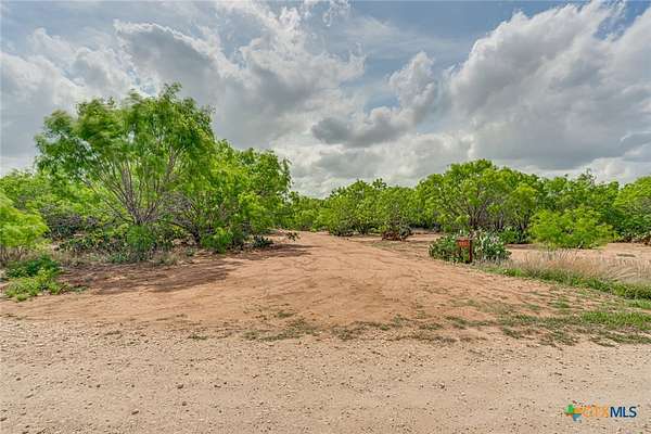 12 Acres of Land for Sale in Floresville, Texas