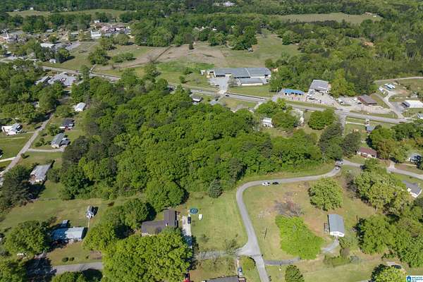 6.2 Acres of Land for Sale in Wilsonville, Alabama