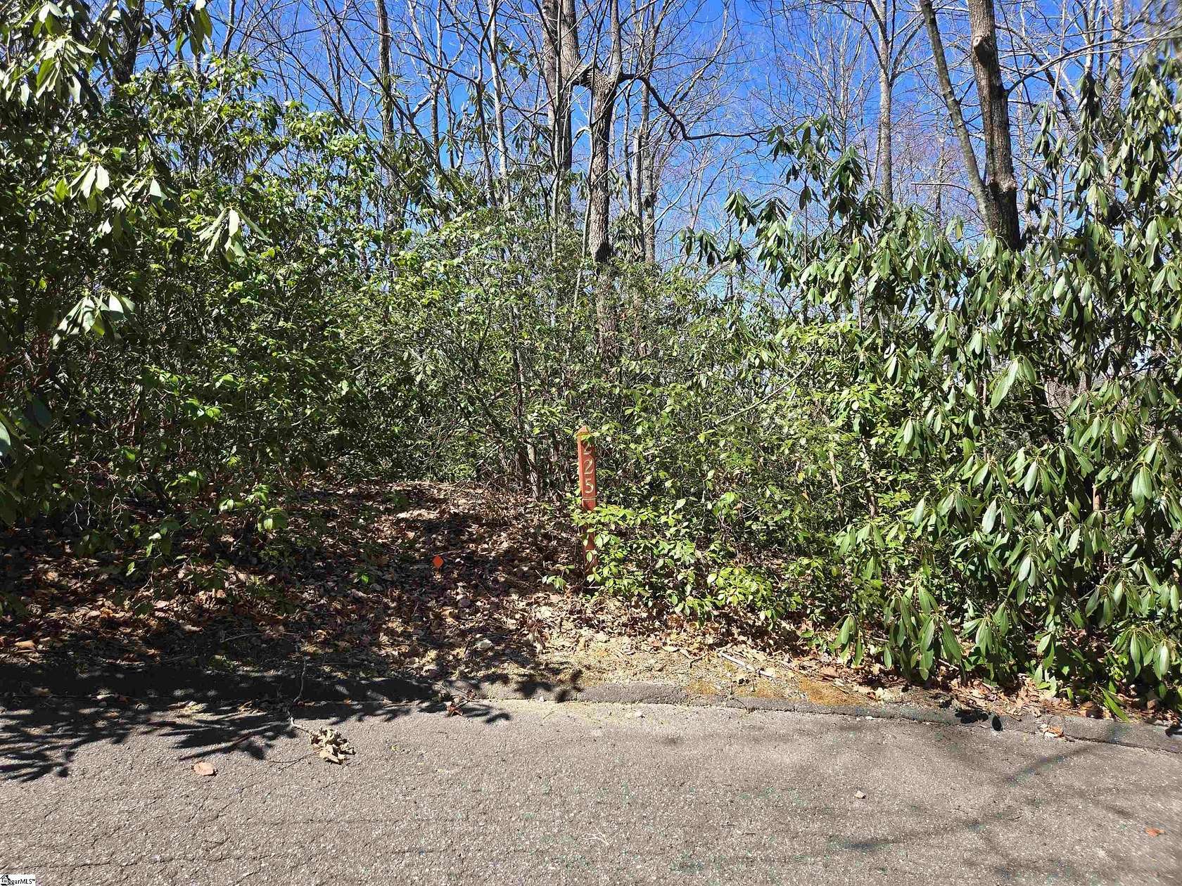 1 Acre of Residential Land for Sale in Cleveland, South Carolina