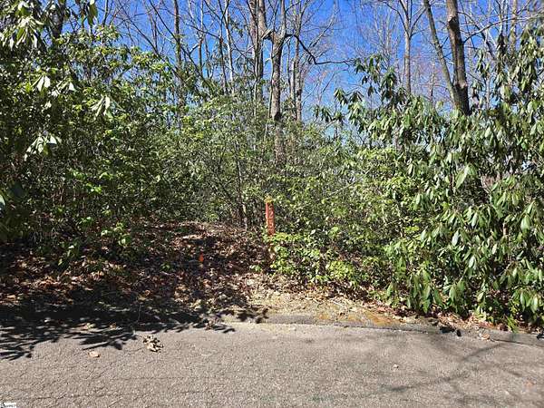1 Acre of Residential Land for Sale in Cleveland, South Carolina