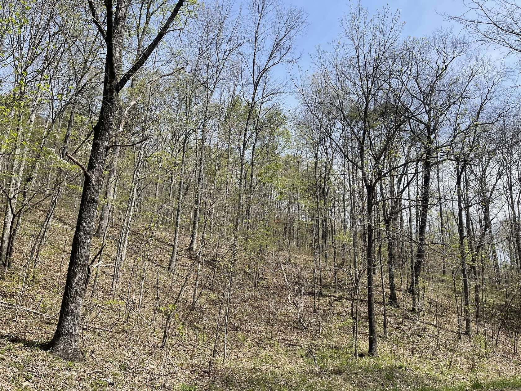 7.75 Acres of Land for Sale in Pikeville, Tennessee