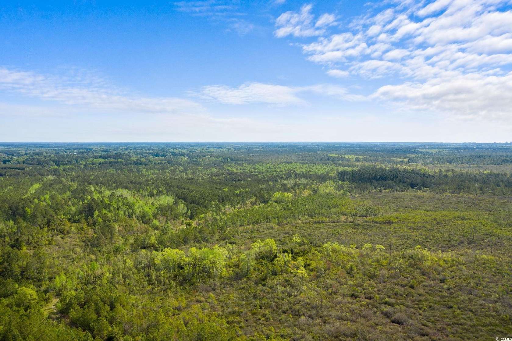 194 Acres of Land for Sale in Longs, South Carolina