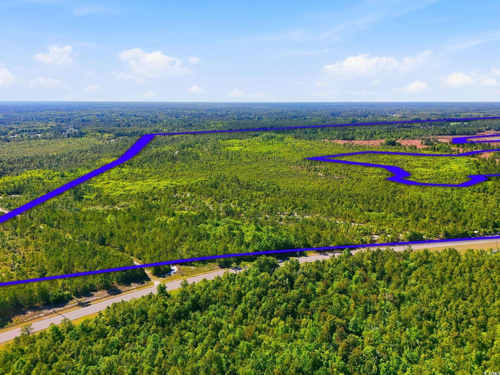194 Acres of Land for Sale in Longs, South Carolina