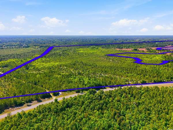 194 Acres of Land for Sale in Longs, South Carolina