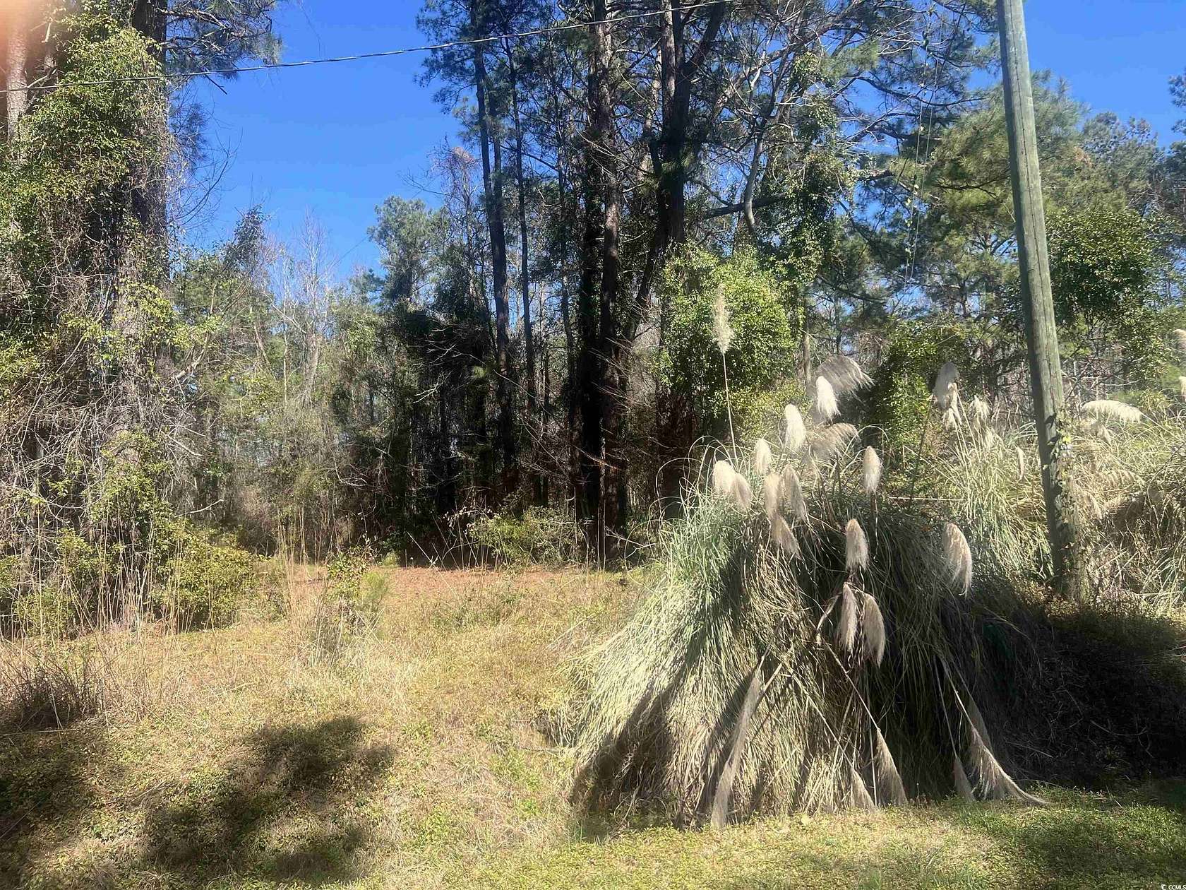 1 Acre of Land for Sale in Conway, South Carolina