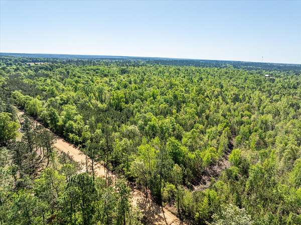 100 Acres of Recreational Land for Sale in Dearing, Georgia